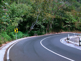 Natural Forest Scenery With Road Bends At Munduk Village, Buleleng, Bali, Indonesia
