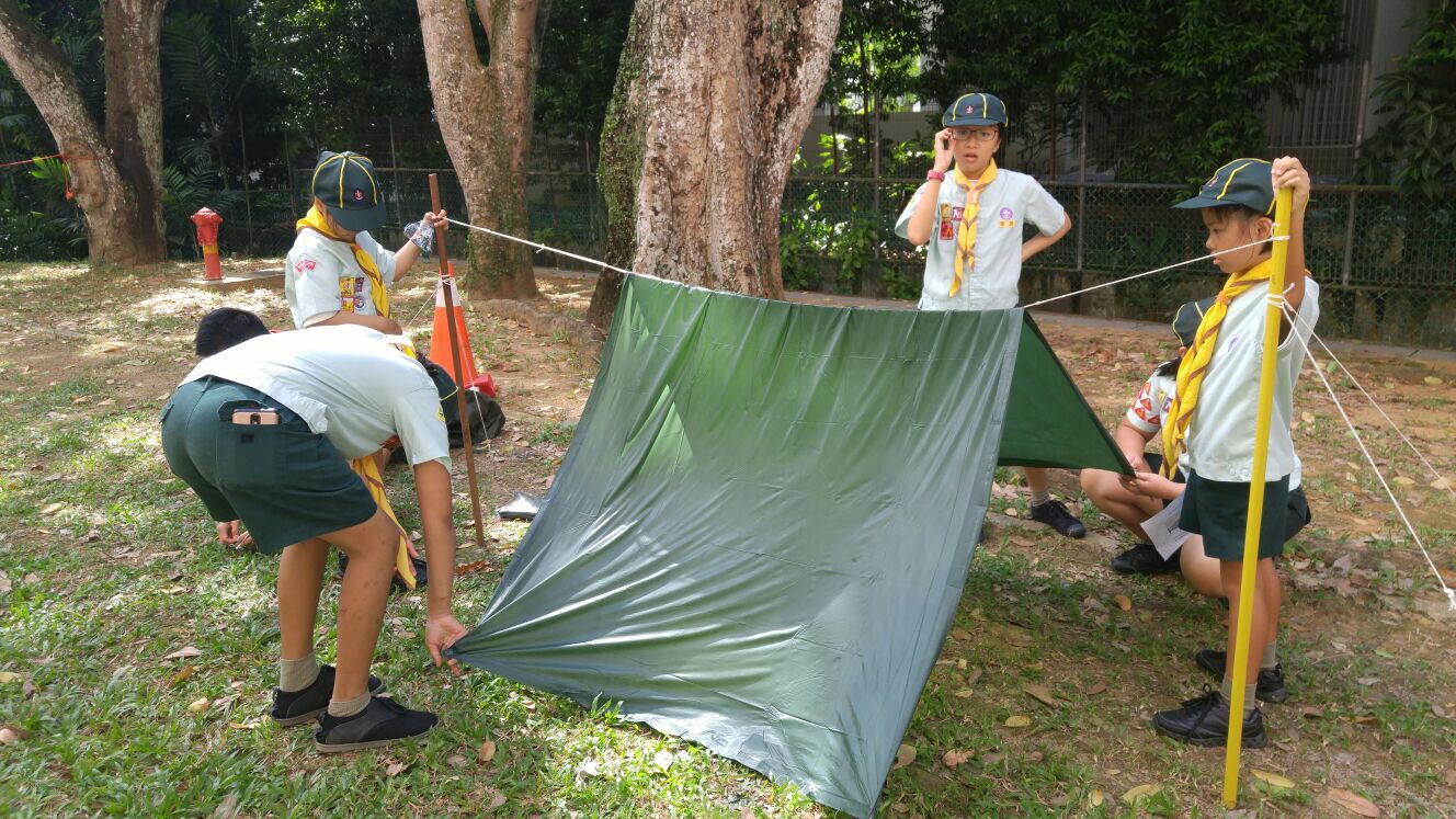 Henry Park Pelican (Cub) Scout Shelter Building, 29th July 2017