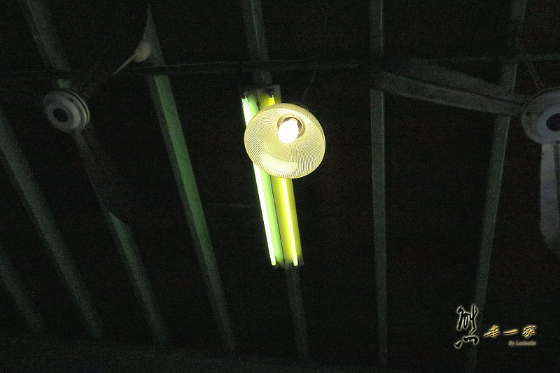 Canon G7X不同光源AWB白平衡表現|人像食物風景建築室內花卉之實拍效果