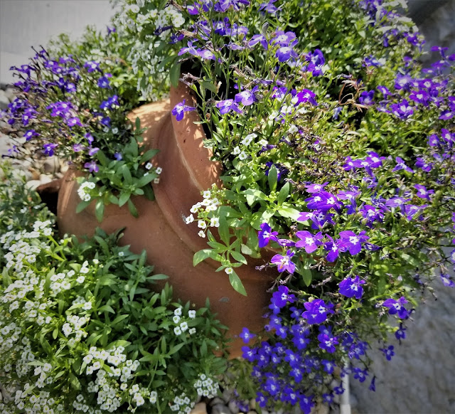 Hello, (Flower) Potted SUMMER! - strawberry pot 1 www.bohohome.com @bohosusan www.etsy.com/shop/BoHoHomebySusan