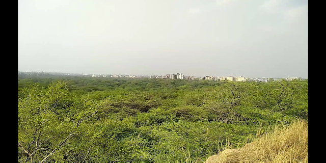 Prithviraj Chauhan fort