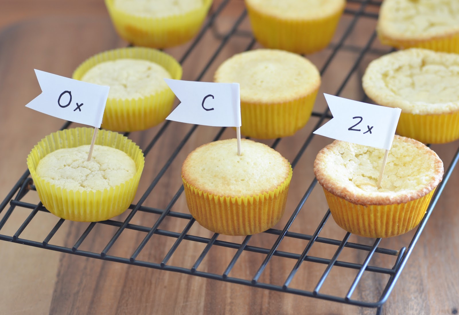 Baking Experiment! Cupcakes with Varying Sweeteners Building Buttercream