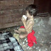 Bunyi Menangis Kuat, Budak Tiga Tahun Ditinggalkan Seorang Diri Dalam Rumah