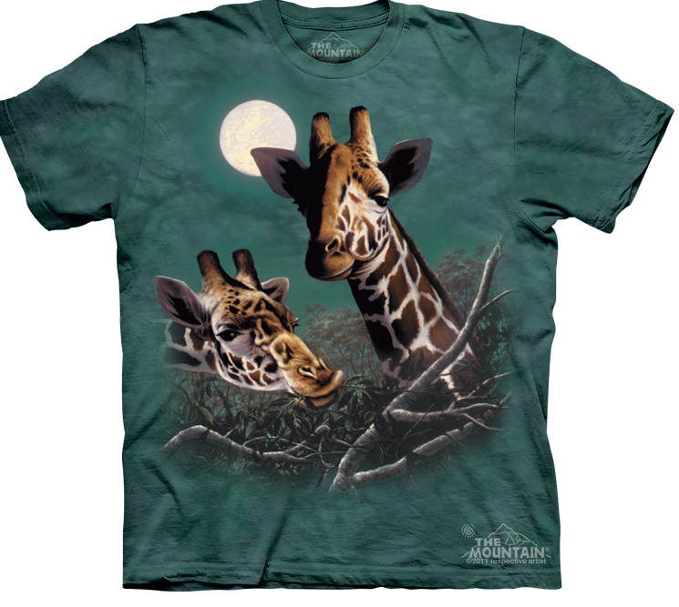 jane and delancey giraffe shirt