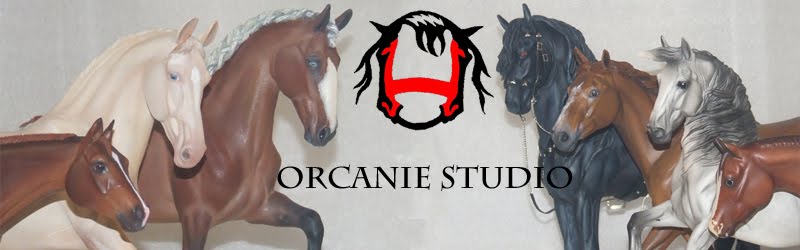 Orcanie Studio
