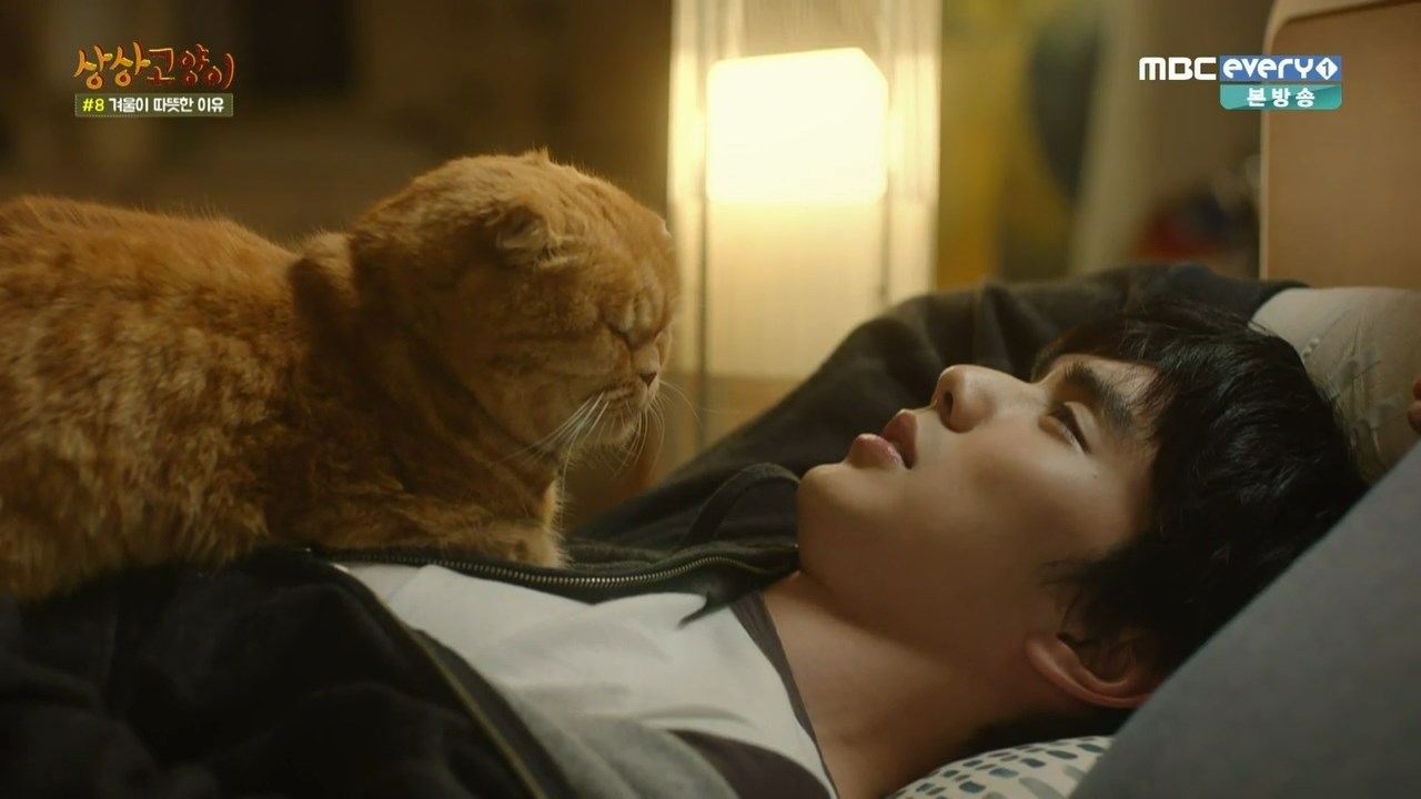 Anny's world Imaginary cat (korean drama)