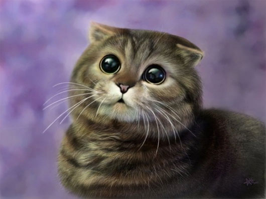 360+ Hình ảnh mèo con dễ thương ngộ nghĩnh cute nhất hệ mặt trời