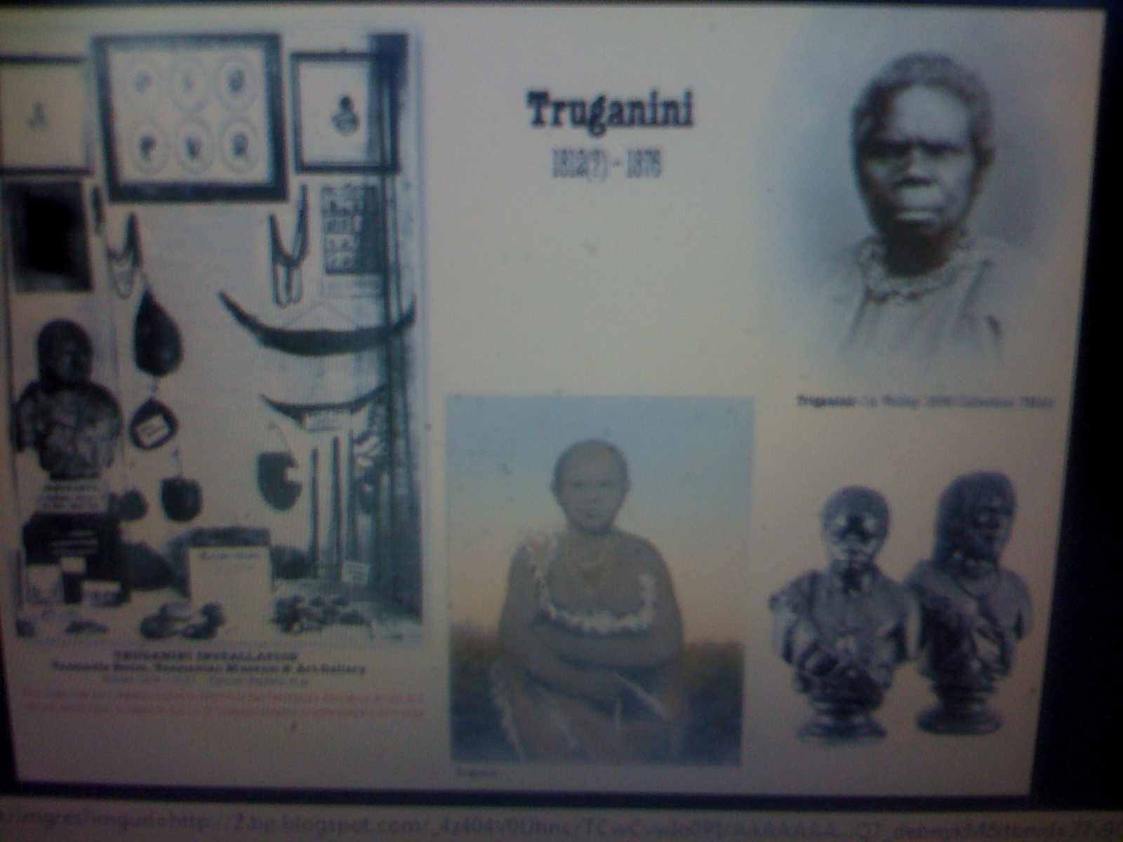 THE BLACK SOCIAL HISTORY BLACK SOCIAL HISTORY THE BLACK TASMANIANS