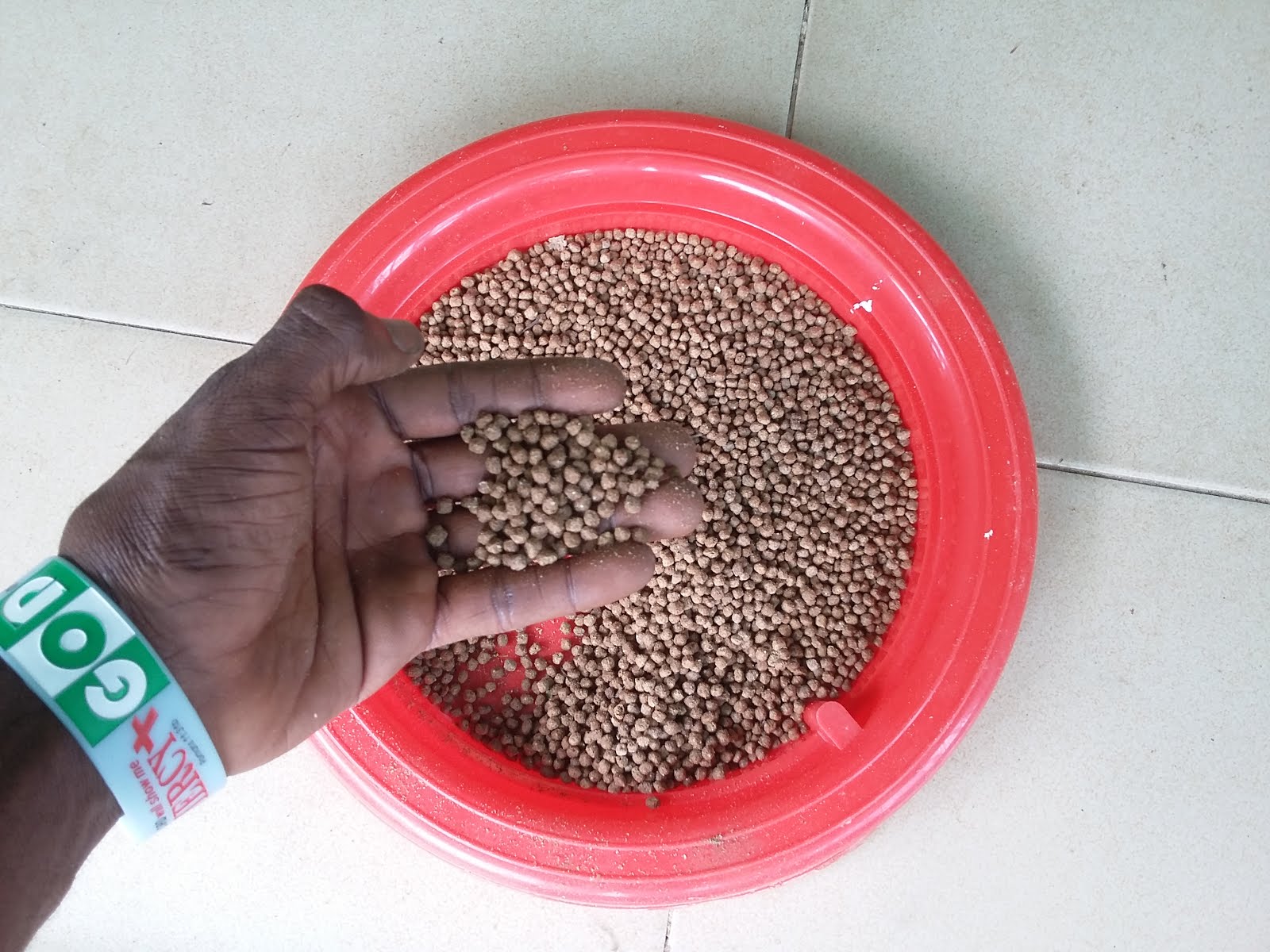 MANAGEMENT OF TABLE SIZES (Catfish)