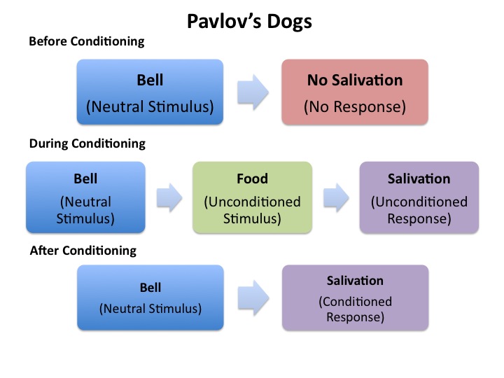 Pavlovian conditioning, phobias