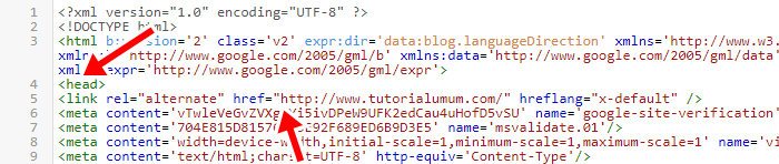 Maximum scale 1 meta name