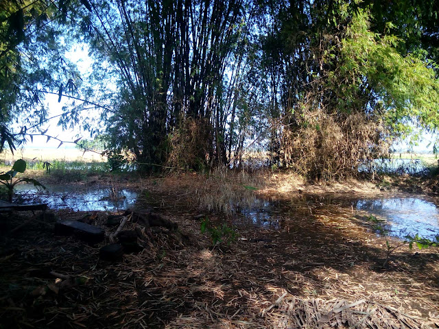 tempat tinggal keberadaan kuntilanak merah