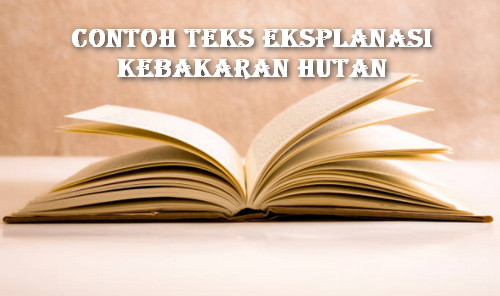 Contoh Teks Eksplanasi Kebakaran Hutan Contoh Teks Eksplanasi Kebakaran Hutan