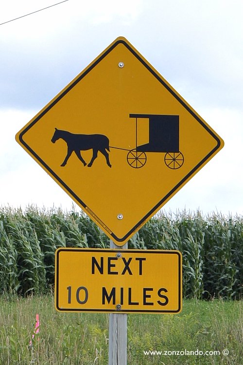 Chi sono e come vivono gli amish. Dove vivono e cosa fanno - Amish FAQ