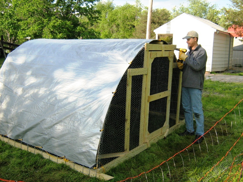 Building Chicken Coops Strategies: Fantastic Guidelines For Creating 