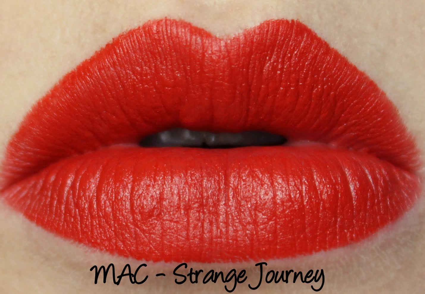 MAC X Rocky Horror Picture Show Lipsticks: Strange Journey Swatches & Review