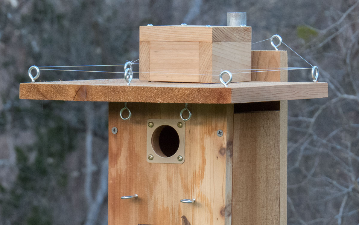 edward-plumer-nestbox-camera-project