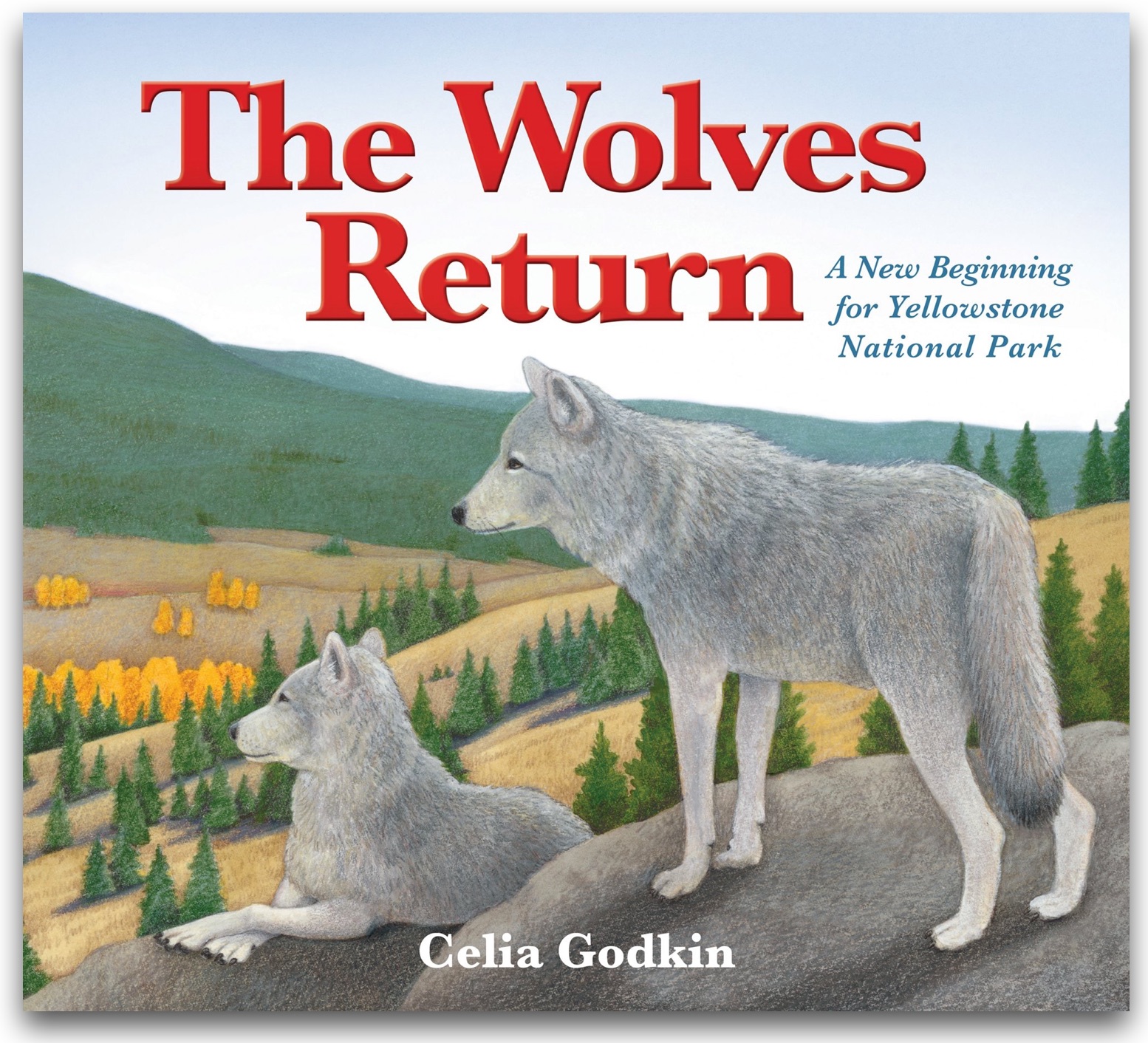 wolves yellowstone park beyond words wolves yellowstone park beyond words