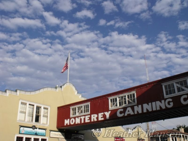 The Skyway to the Monterey Canning Company