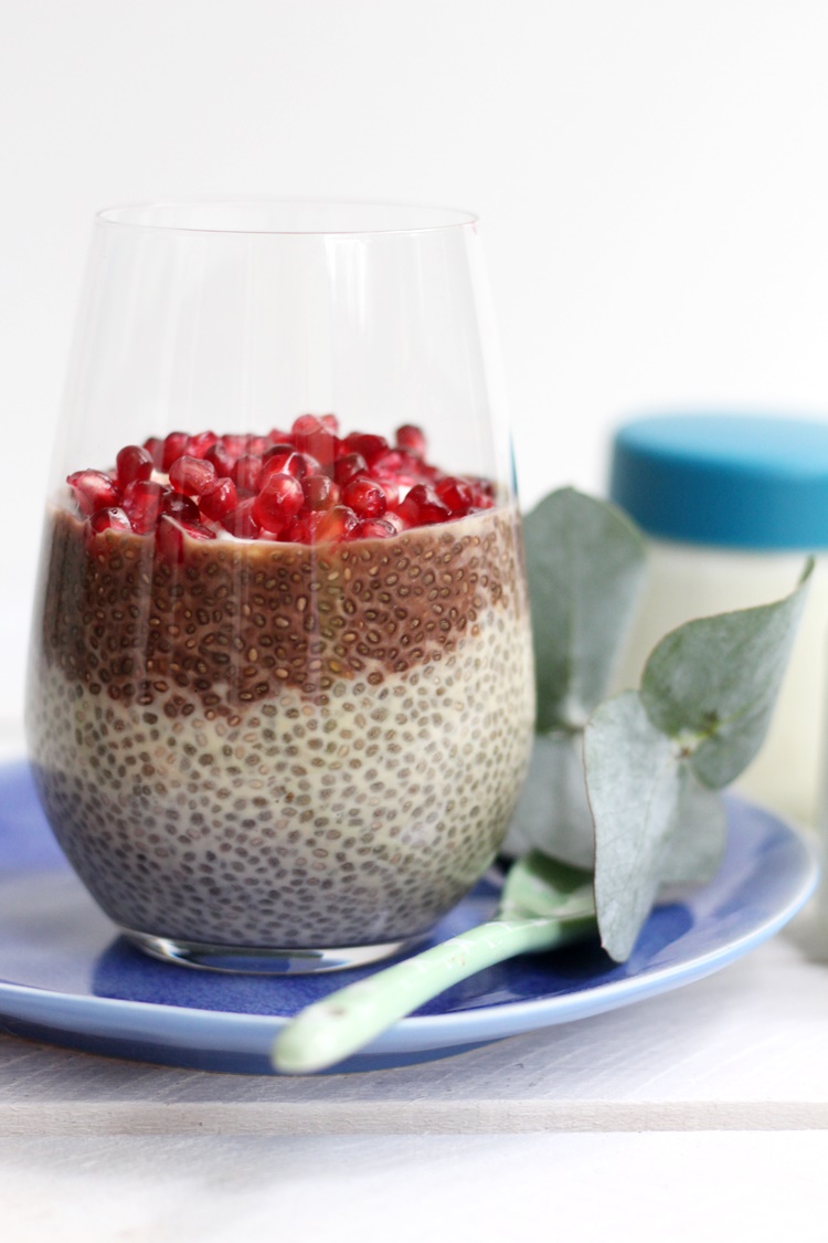 Chiapudding Mit Selbstgemachtem Joghurt Und Granatapfeltopping Werbung Fur Severin Biskuitwerkstatt