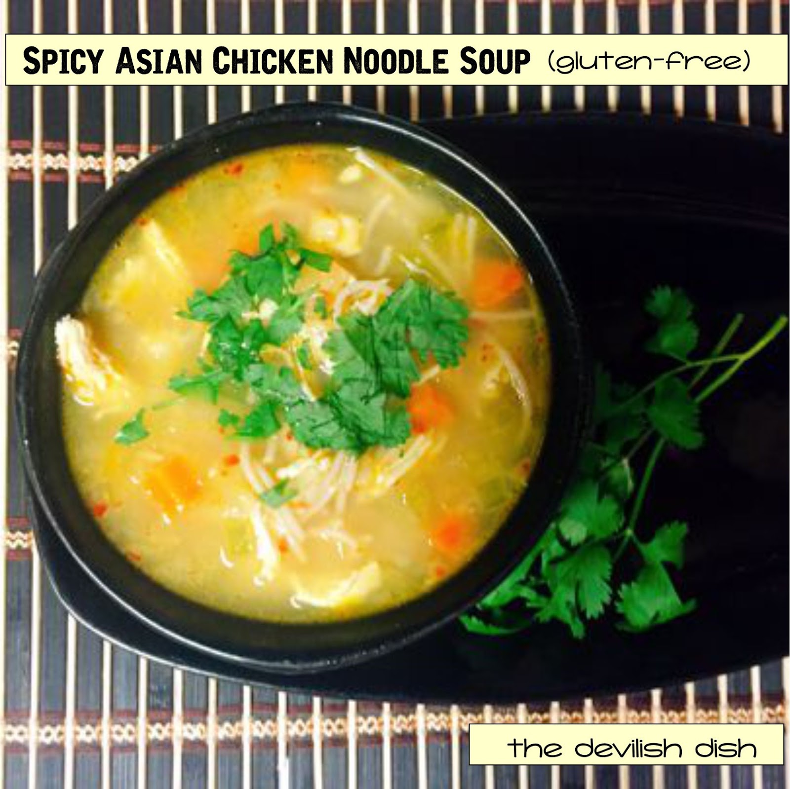 The Devilish Dish Spicy Asian Chicken Noodle Soup (GlutenFree)
