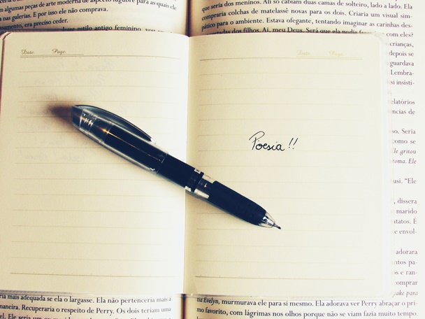 Poesia, Foto Vanessa Vieira Amor, vida, livros, poesias,