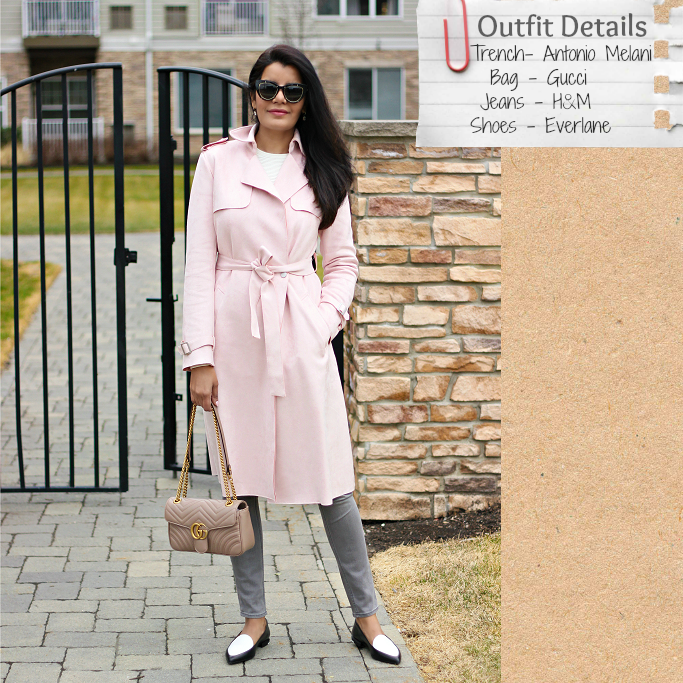Suede Trench Coat, Suede Blush Trench Coat, Antonio Melani Suede Trench Coat, Millenial Pink Trench Coat, Everlane Modern Point Loafers, Pointy, Gucci Marmont Soft Rose Small Flap