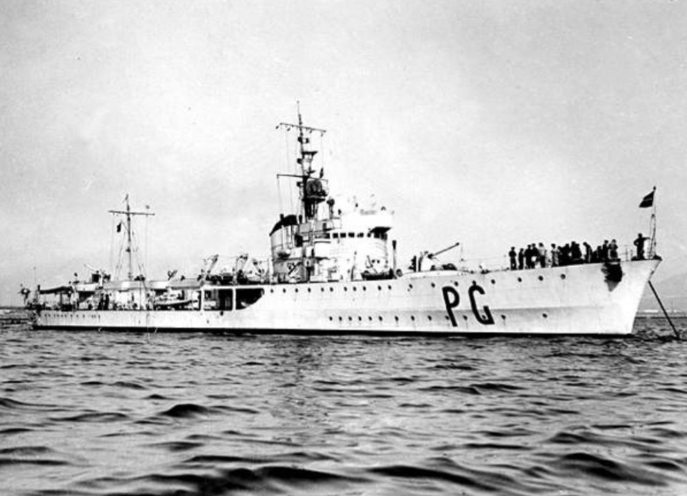 Orsa, Pegaso