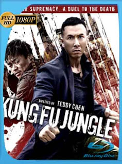 Asesino Kung Fu (2014) HD [1080p] Latino [GoogleDrive] rijoHD