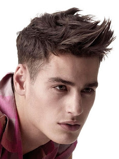 reasons-why-men-lose-hairs reasons-why-men-lose-hairs