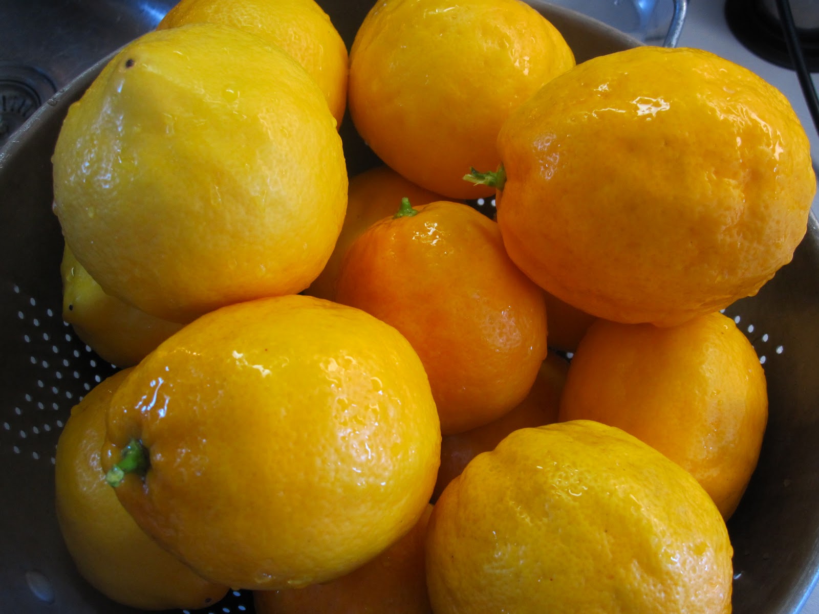 WineBookGirl Easy Lemon Confit