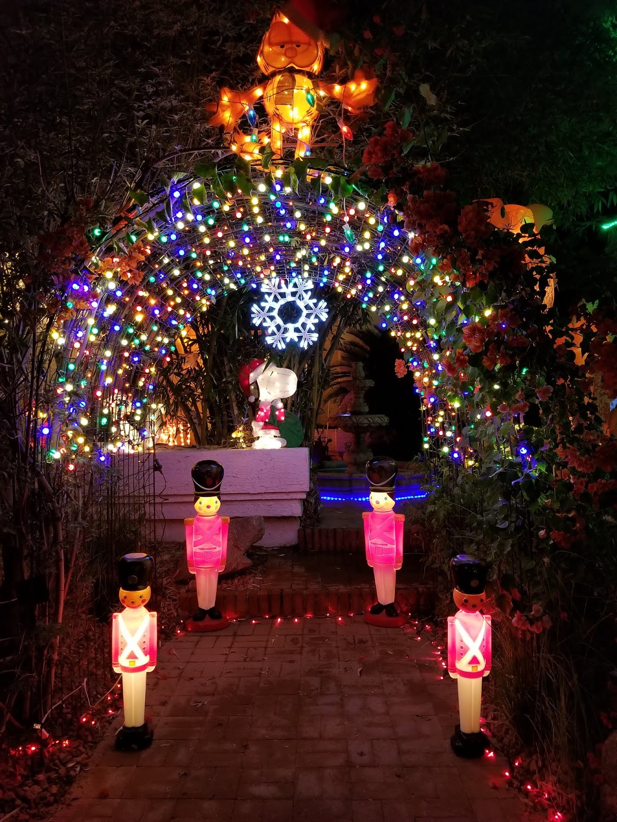 Chandler AZ Christmas Lights