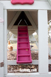 Barbie Dream House Chicken Coop Southern Revivals