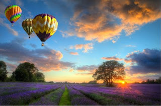 The History of Flat Earth Balloon-lavender-landscape-large