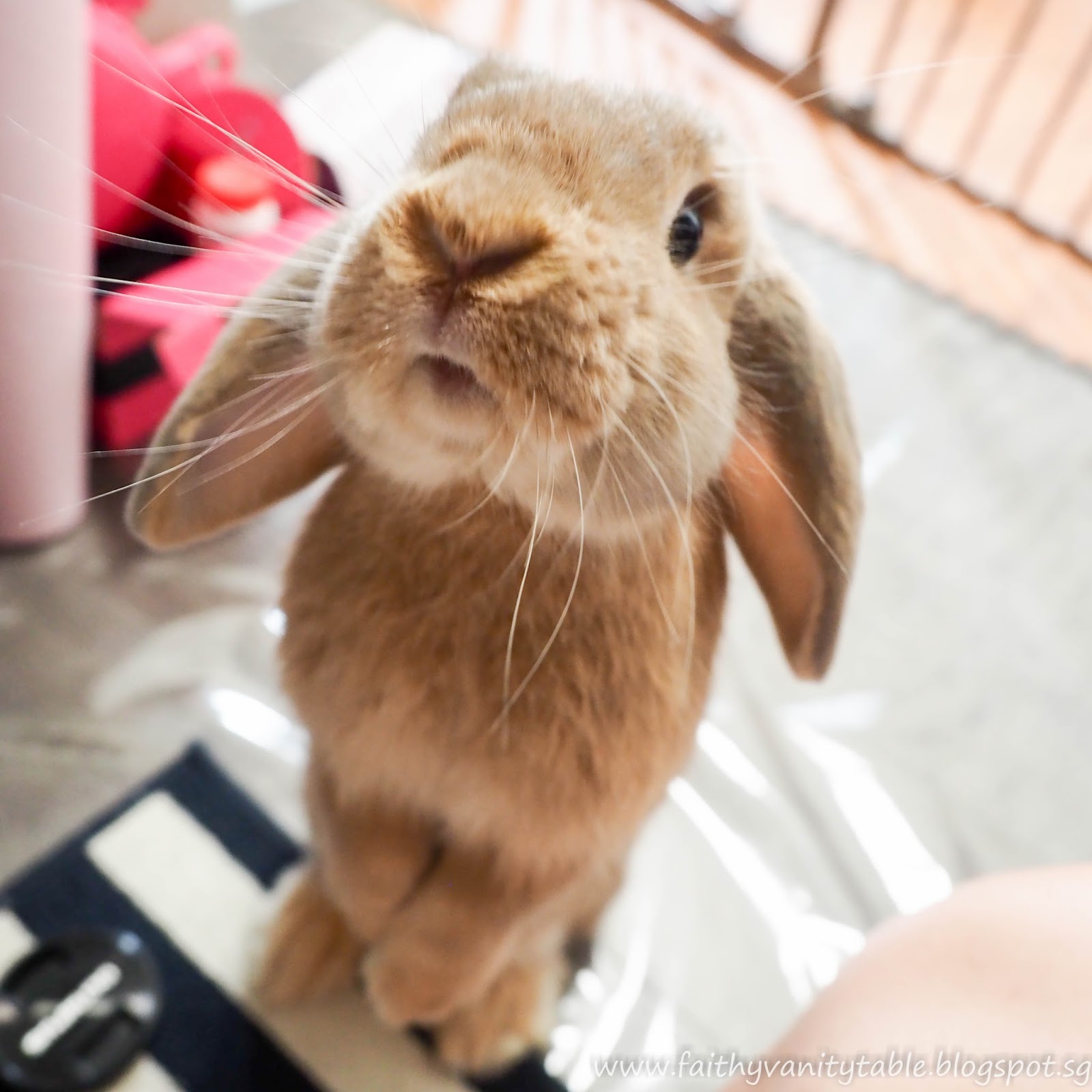 Singapore Beauty, Travel and Lifestyle Blog