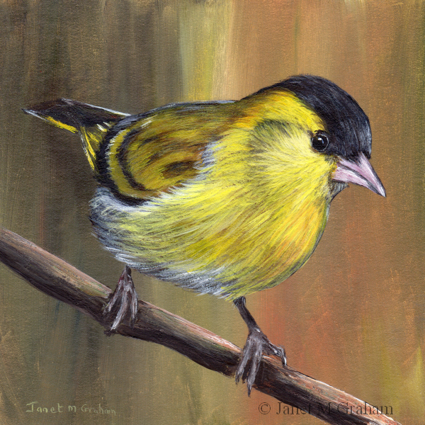 Painting With M Graham Oils Painting With M Graham Oils
