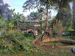 Ritual Budaya Bersih "Sumur Keramat" Desa Wonopringgo