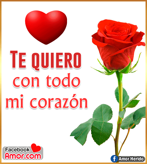 rosa rosa para amor rosa rosa para amor