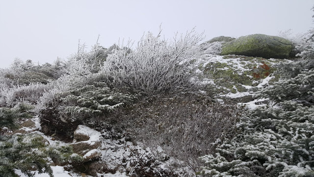 Au sommet Avery dans les monts Bigelow