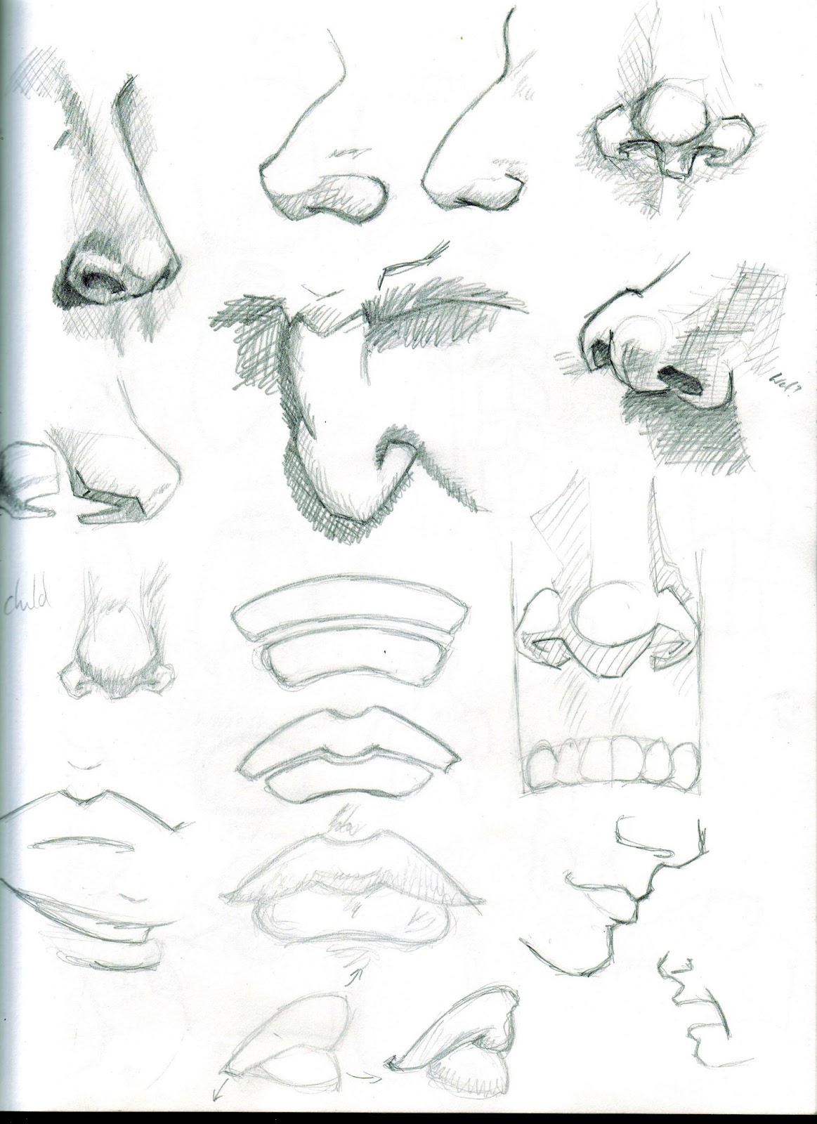 GimpySoup Creations: Anatomy sketches