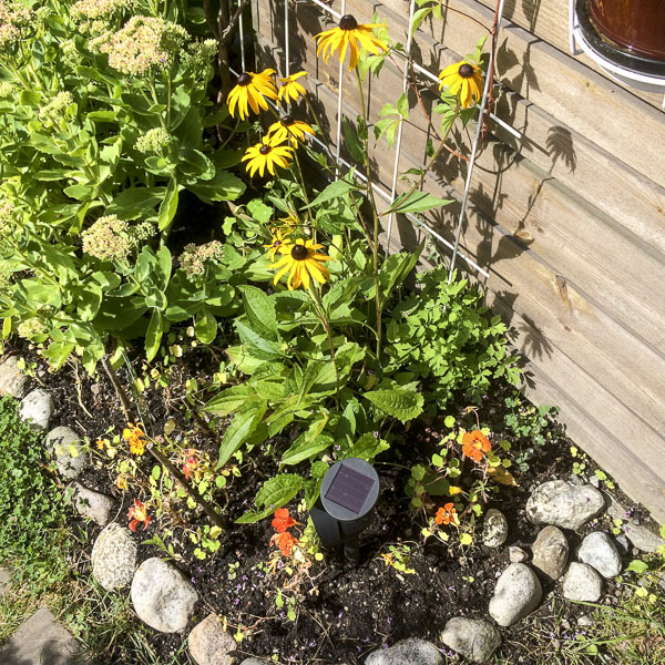 rabatt, flowerbed rabatt, flowerbed