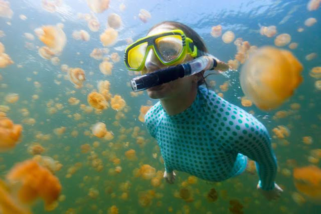 Incríveis destinados habitados por animais Elfandarilha