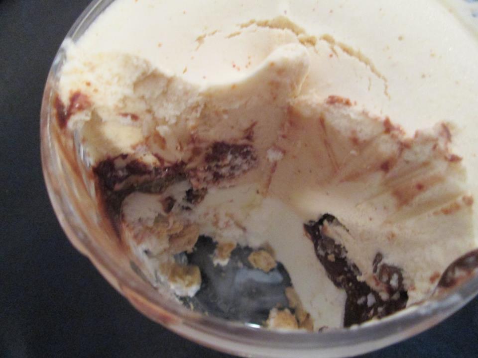 David's Ice Cream Reviews Talenti Peanut Butter Vanilla Fudge