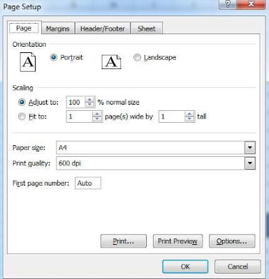 tinhoccoban.net - Hộp hội thoại Page Setup
