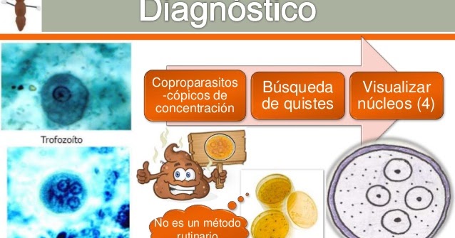 que es la giardiasis diagnostico)