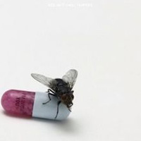 Worst to Best: Red Hot Chili Peppers: 09. I'm With You