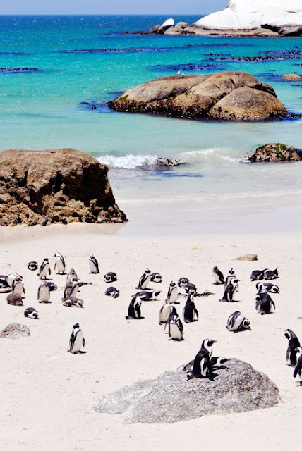 best places to visit in south africa