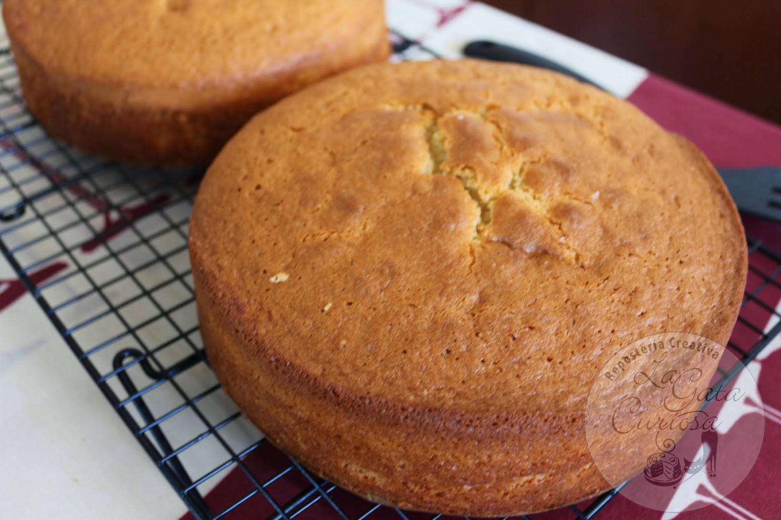 La Gata Curiosa BIZCOCHO BASICO DE VAINILLA SIN MANTEQUILLA La Gata Curiosa BIZCOCHO BASICO DE VAINILLA SIN MANTEQUILLA