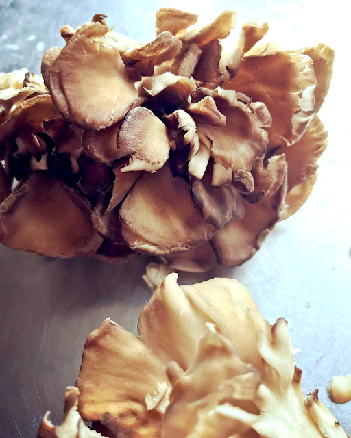 Maitake Mushrooms by Dominique Allmon