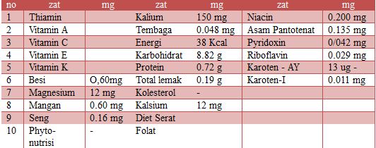 beberapa zat yang ada dalam kandungan bengkuang manfaat bengkuang